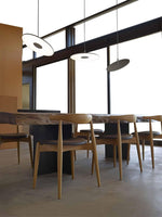 Circa LED Pendant Light – Modern Architectural Suspension Lamp