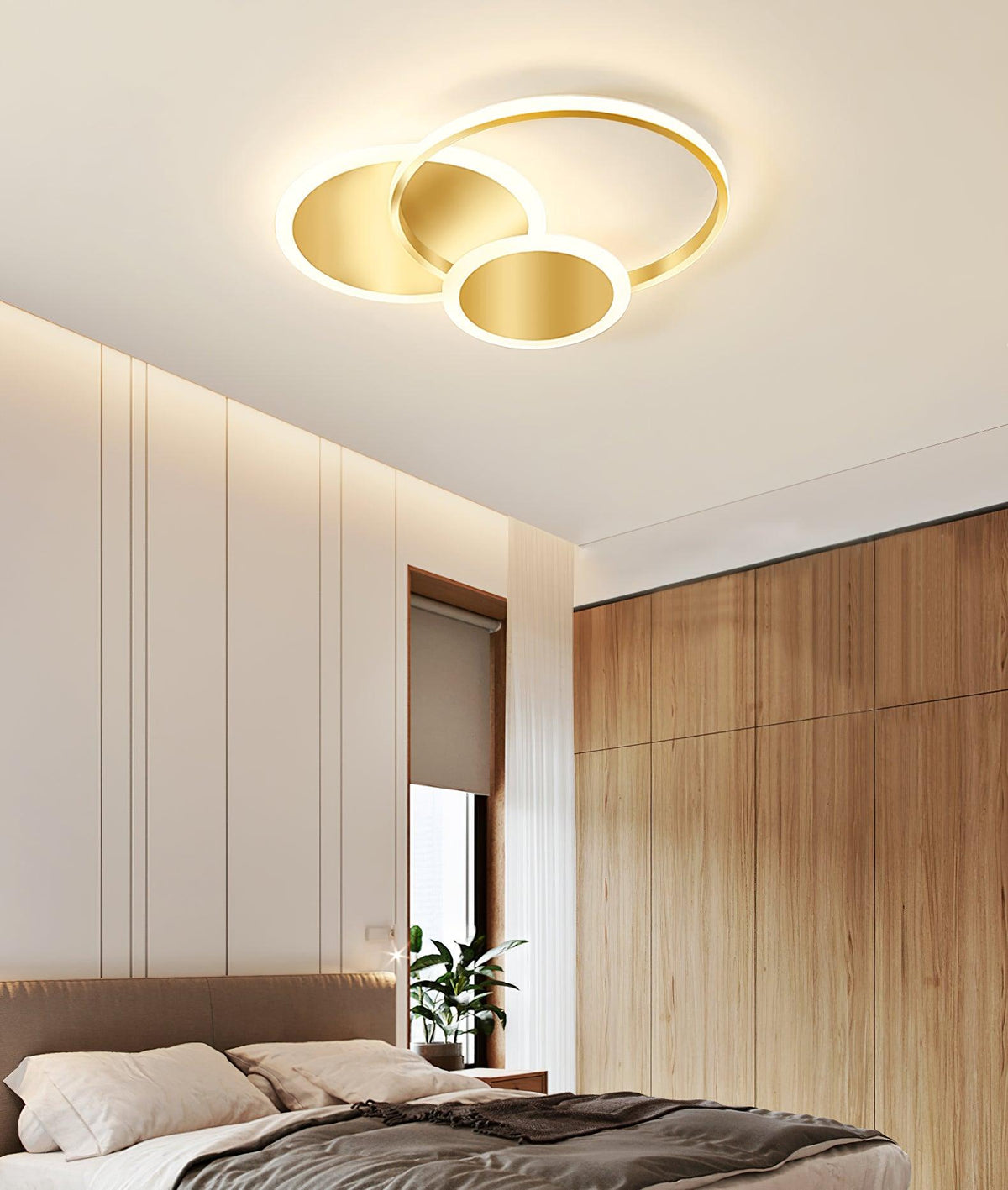 Circles Led Ceiling Light