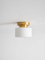 Clinio Flush Mount Ceiling Light in Brass and Opal Glass