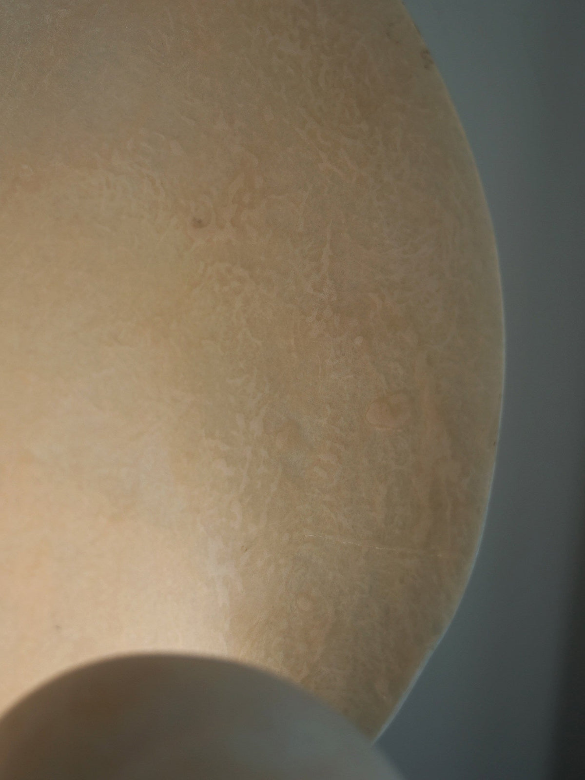 Conch Bloom Sculptural Resin Table Lamp with Nautilus Shell Design
