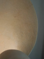 Conch Bloom Sculptural Resin Table Lamp with Nautilus Shell Design