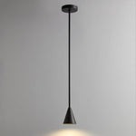 Conica Brass Pendant Light