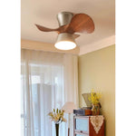 corabelle-ceiling-fan-light