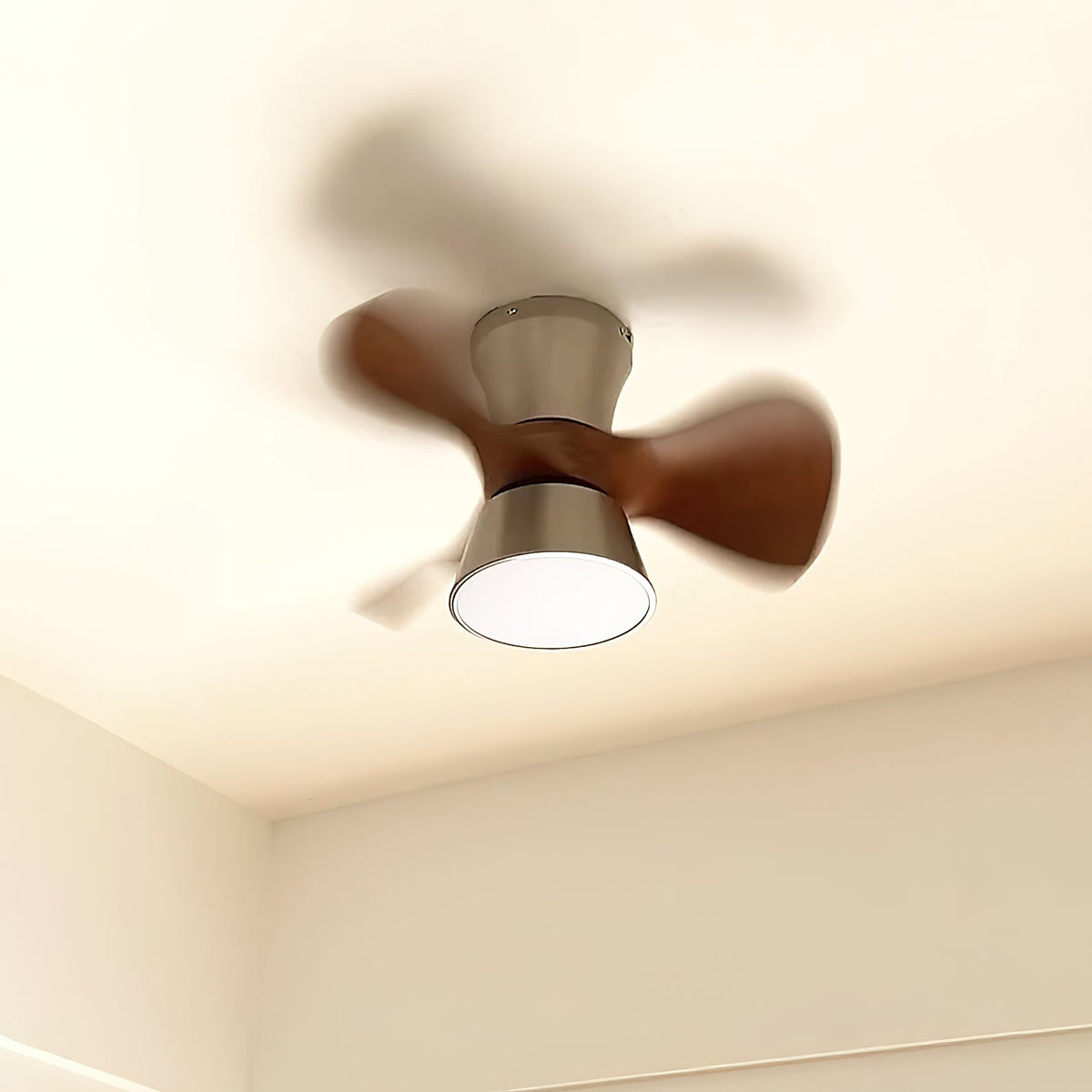 corabelle-ceiling-fan-light