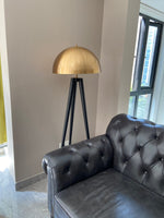 Coyote Floor Lamp