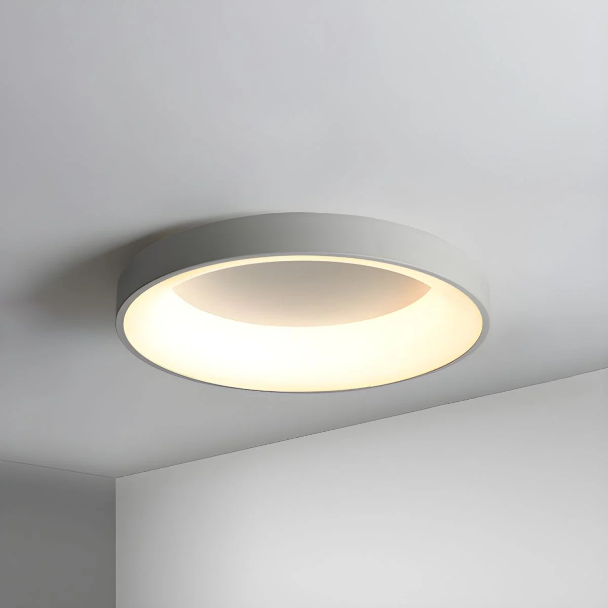 Modern Simple Colorful Ceiling Light