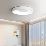 Modern Simple Colorful Ceiling Light