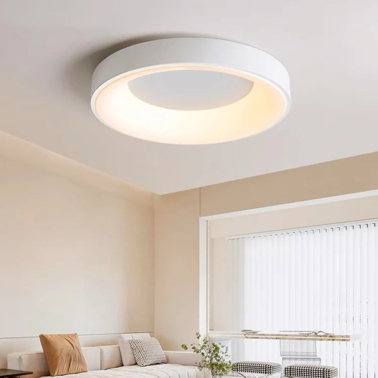Modern Simple Colorful Ceiling Light