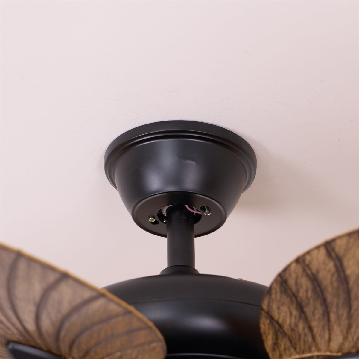 cruise-42-ceiling-fan-light