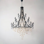 Tatum Lux Shell Crystal Pendant light Chandelier
