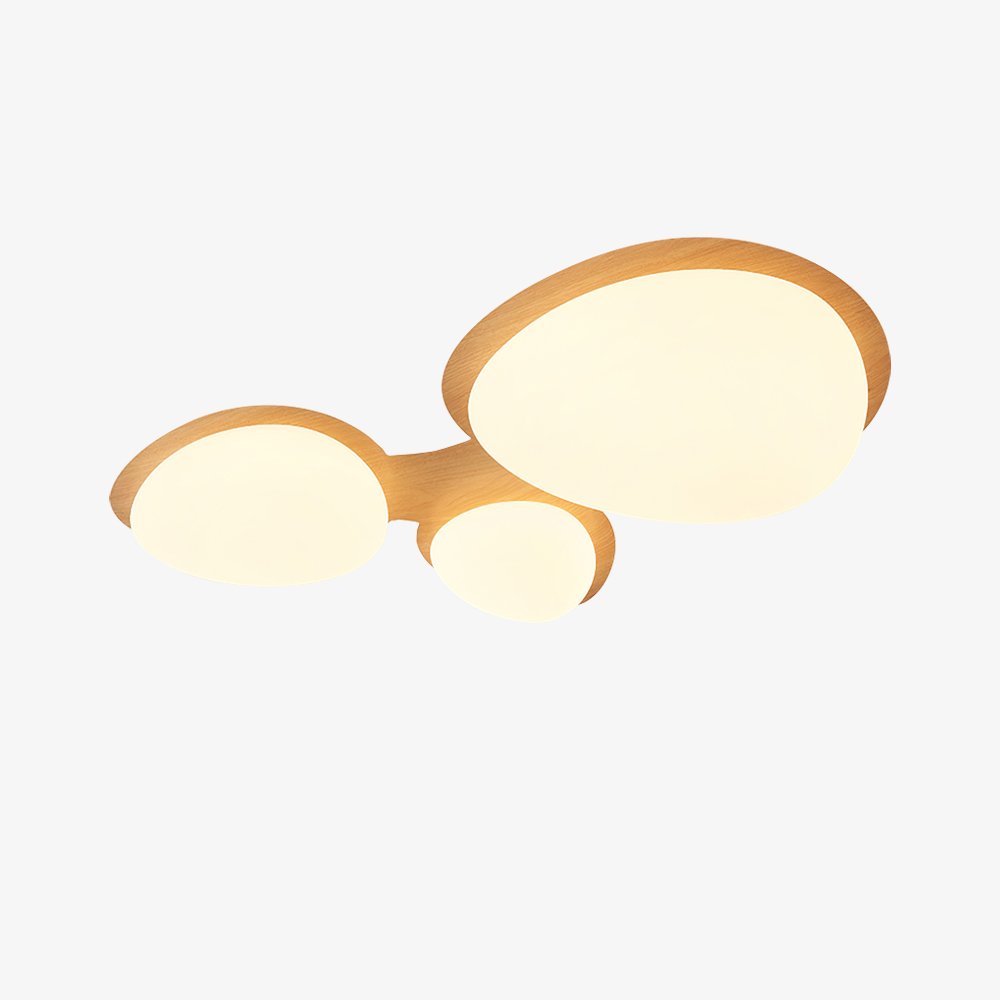 Cusco LED Ceiling Lamp