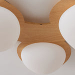Cusco LED Ceiling Lamp