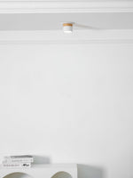 Alva Wooden Surface Downlight – Scandinavian Minimalist Ceiling Lamp