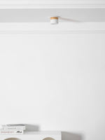 Alva Wooden Surface Downlight – Scandinavian Minimalist Ceiling Lamp