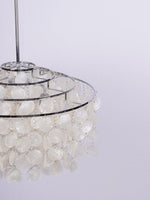 Shell Pendant Lamp