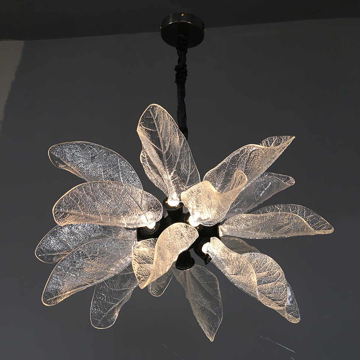 dandelion-floccus-chandelier