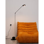 daphine-floor-lamp