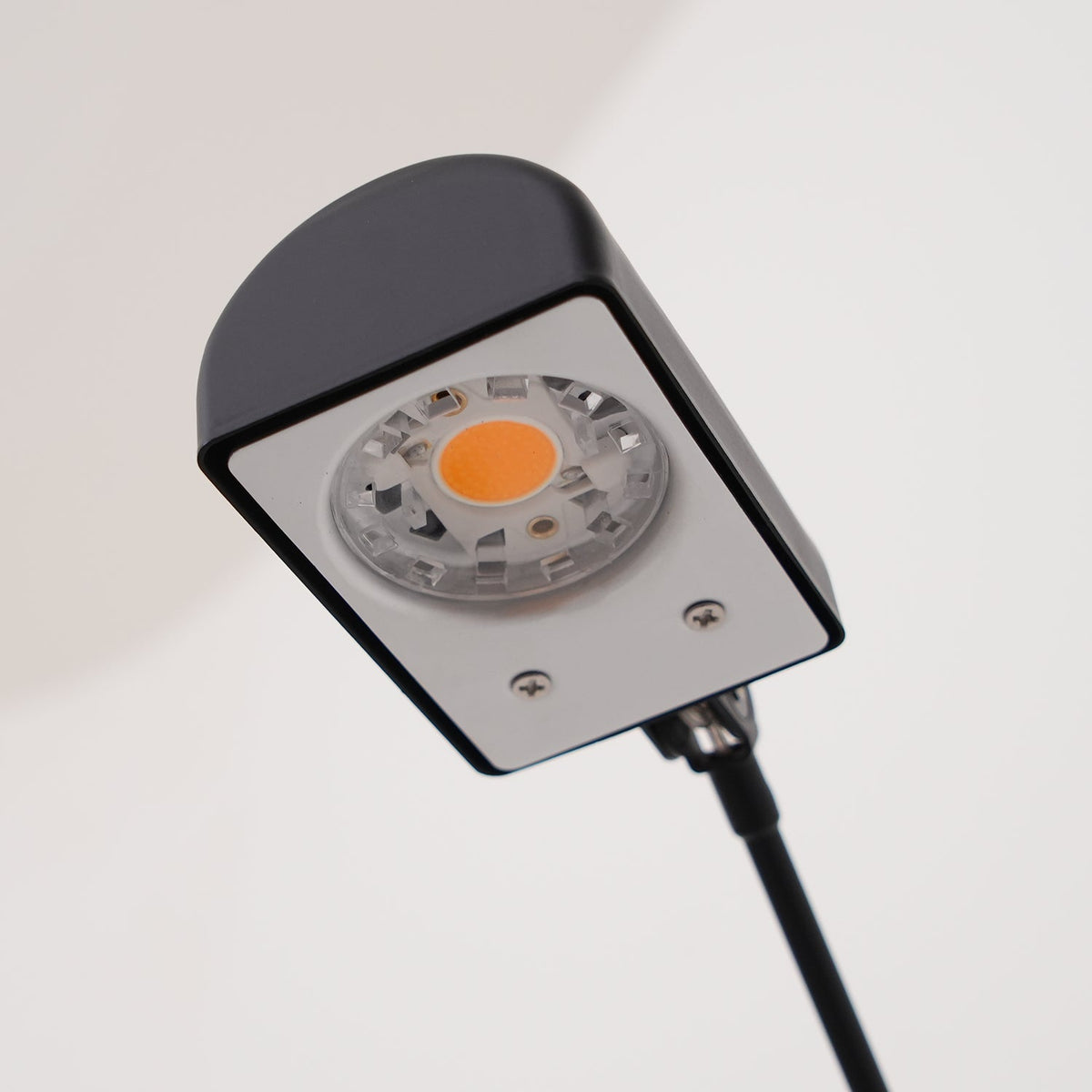 daphine-floor-lamp