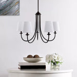 darryn-chandelier