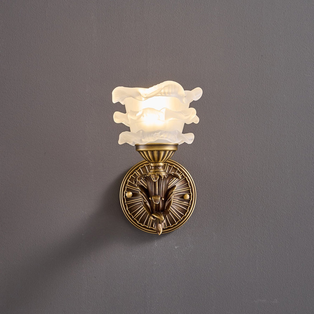 darwin-wall-lamp