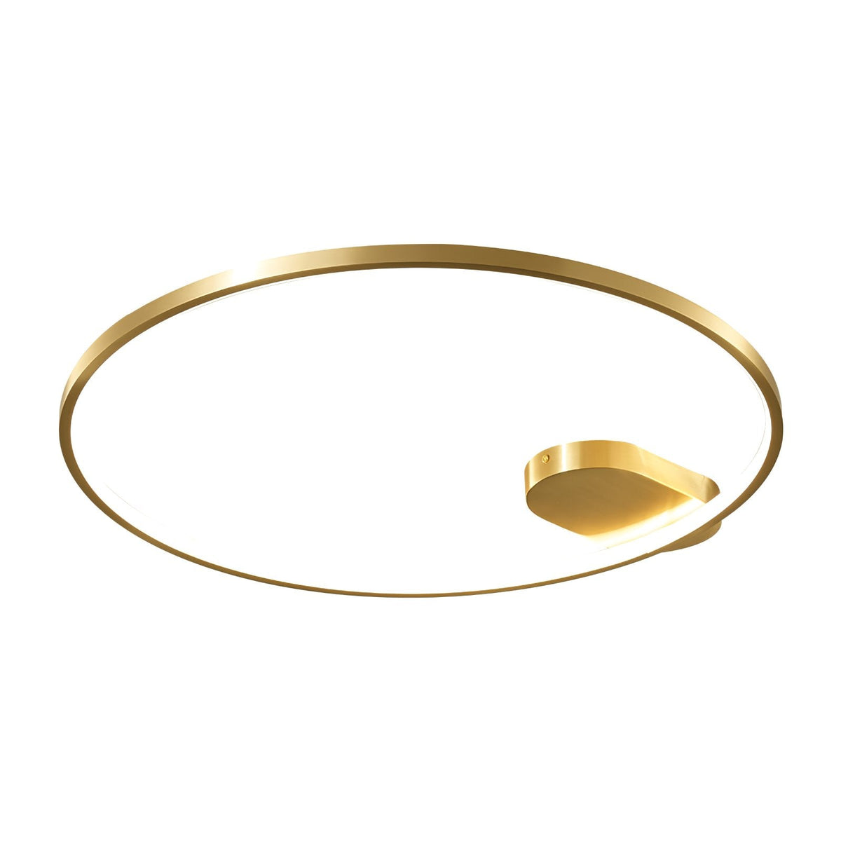 Devon Ceiling Light