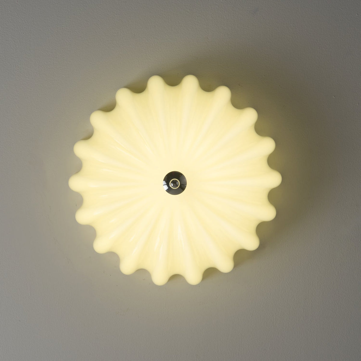 Dewdrop Shell Semi Flush Ceiling Light in Gold and Walnut