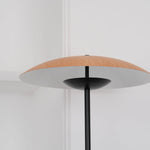directional-floor-lamp