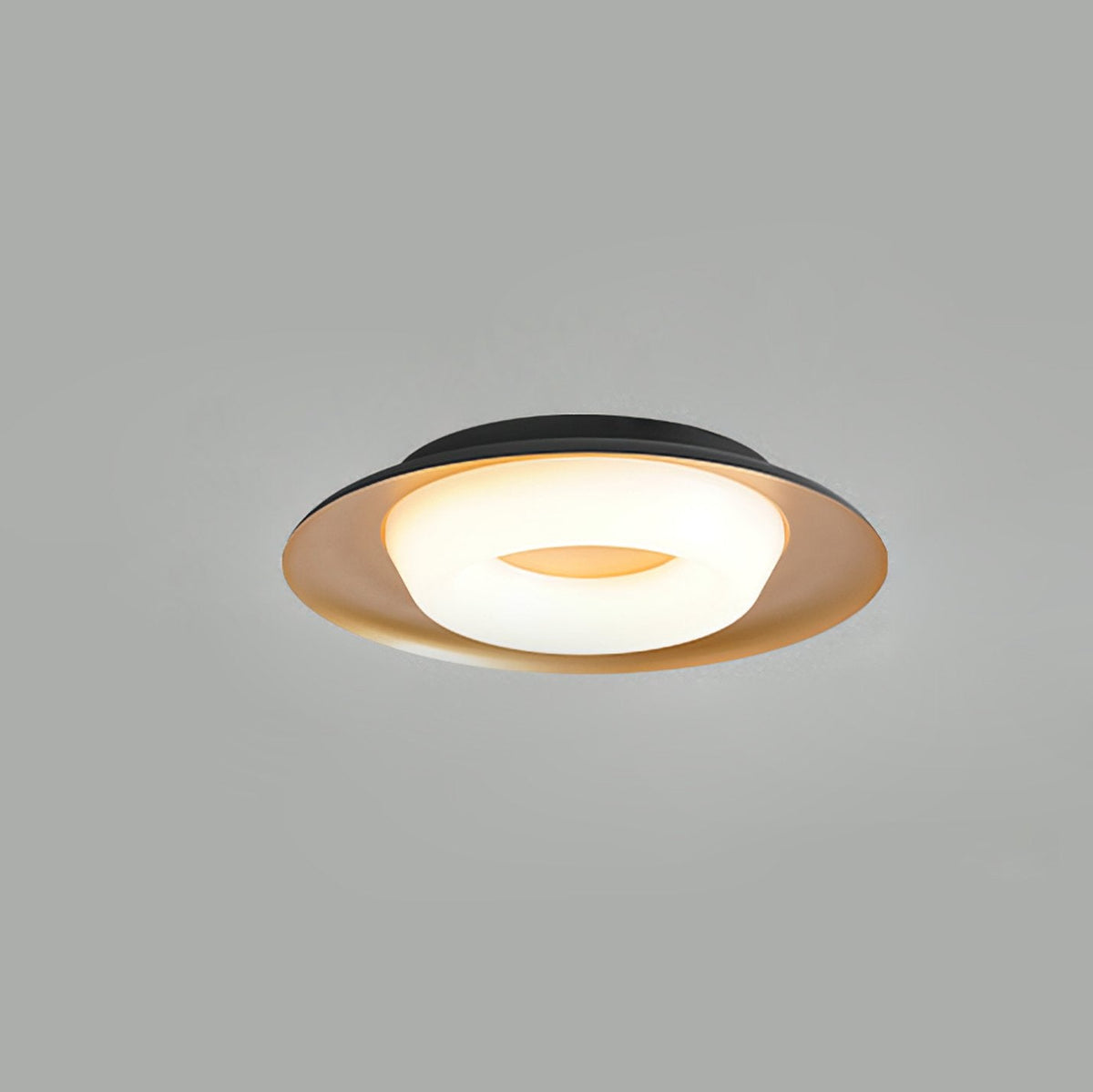 Donut Ceiling Light