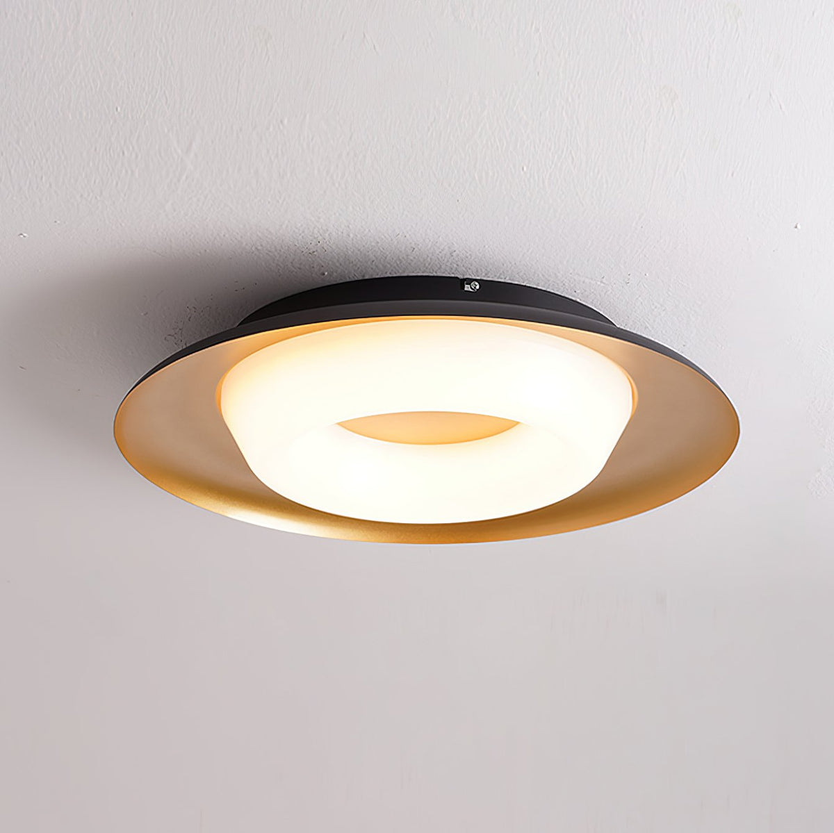 Donut Ceiling Light