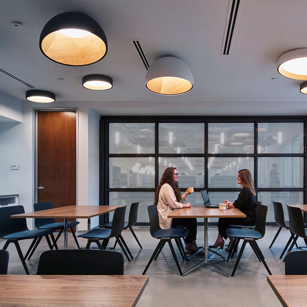 duo-ceiling-lamp