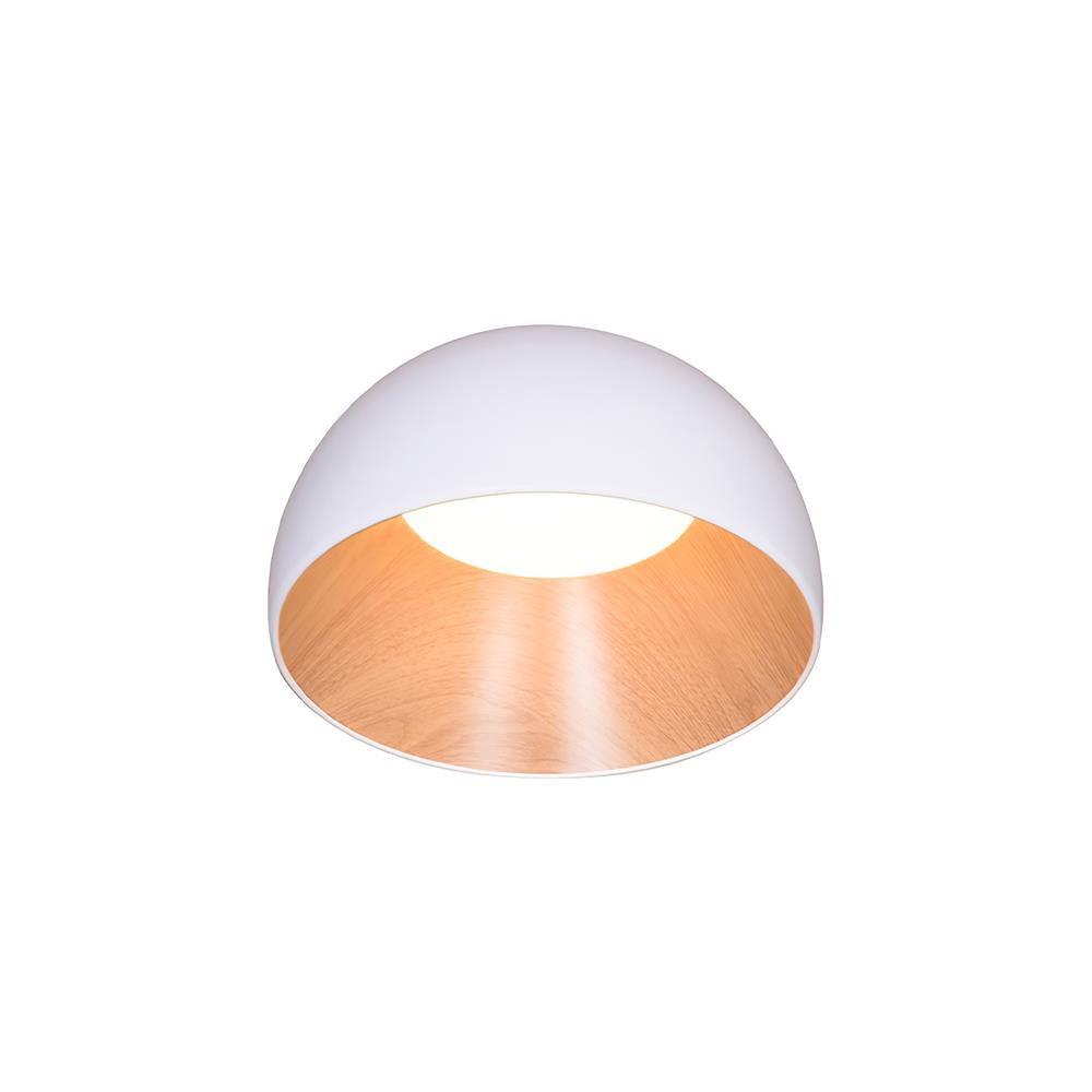 duo-ceiling-lamp