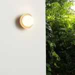 eala-wall-lamp