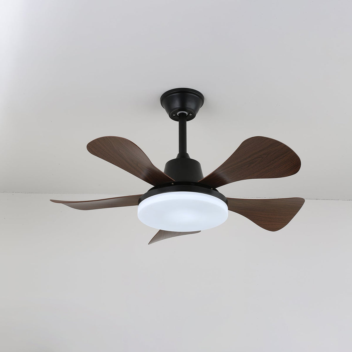 Eliza Contemporary Ceiling Fan Light with Integrated LED and Remote