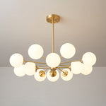 Elysium Brass and Glass Chandelier for Dining Room and Living Room