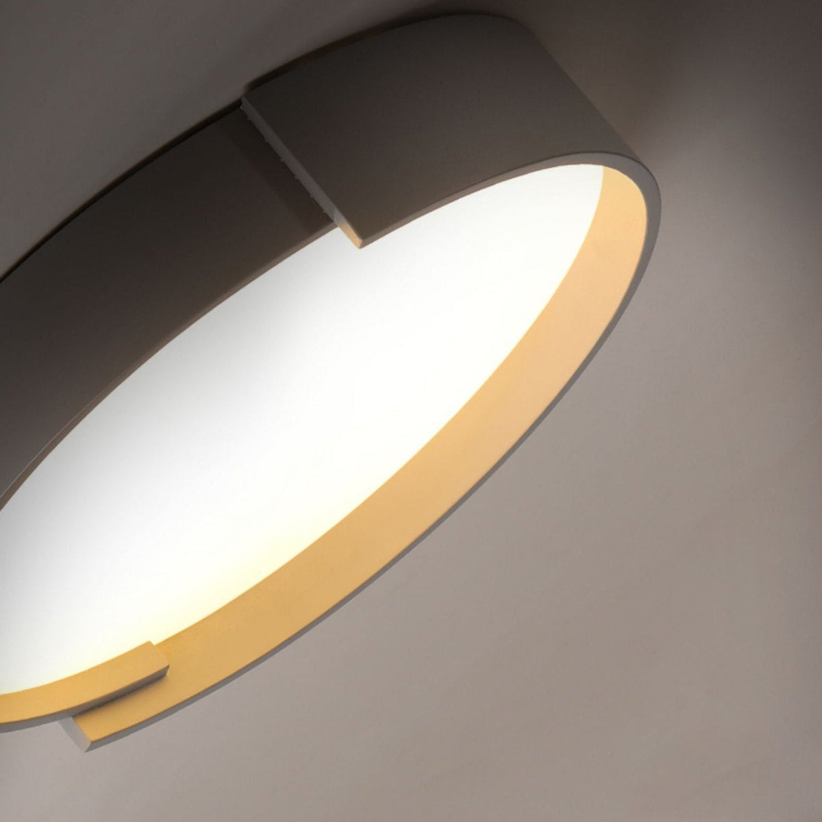 Elzy Round LED Ceiling Light
