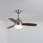 Ethan Ceiling Fan Light with LED and Wood Blades