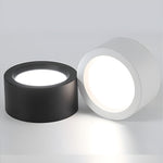 Ethan Modern LED Flush Mount Ceiling Light in Black or White