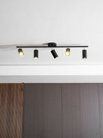 Evanna Modern Ceiling Light with Adjustable Spotlights, Gold Accents