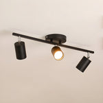 Evanna Modern Ceiling Light with Adjustable Spotlights, Gold Accents