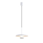 Flat Pendant Light