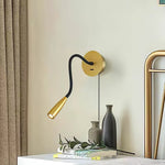 Flexi Hose Plug In Wall Light