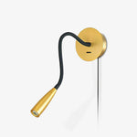 Flexi Hose Plug In Wall Light