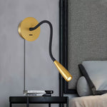 Flexi Hose Plug In Wall Light