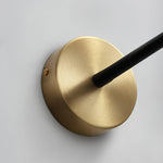 Flexi Hose Plug In Wall Light