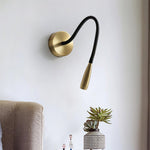 Flexi Hose Plug In Wall Light