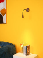 Flexi Hose Plug In Wall Light