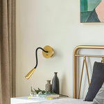 Flexi Hose Plug In Wall Light