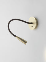 Flexi Hose Plug In Wall Light