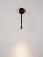 Flexi Hose Plug In Wall Light