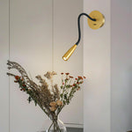 Flexi Hose Plug In Wall Light